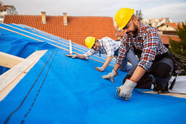 Best Sheet Metal Roofing  in Marshallville, GA