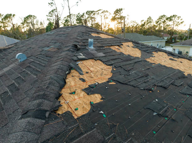 Best Roof Ventilation Installation  in Marshallville, GA